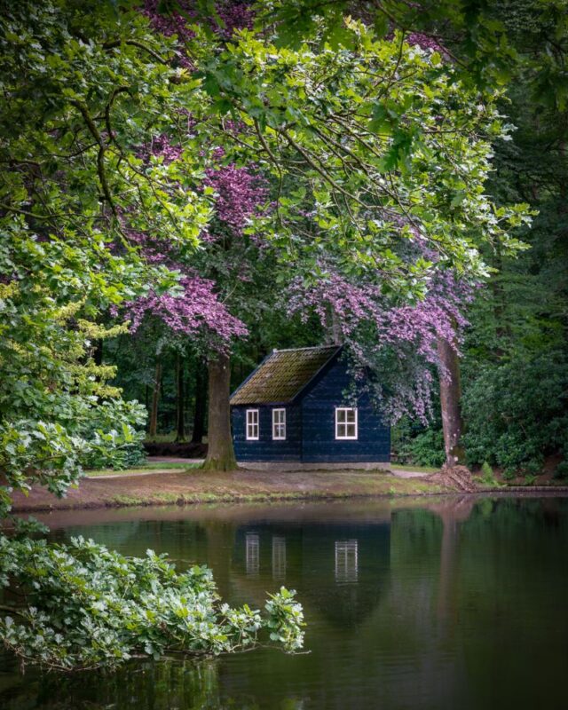 Foto van Annette Roijaards van Kroondomein Het Loo in de lente